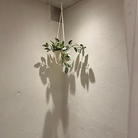 Хостел Mini 5 Биллунн